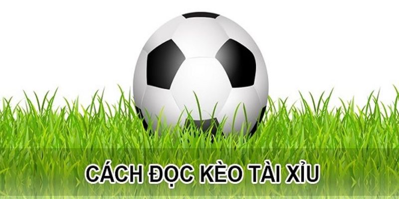 Hướng dẫn cách đọc kèo tài xỉu cơ bản cho tân binh