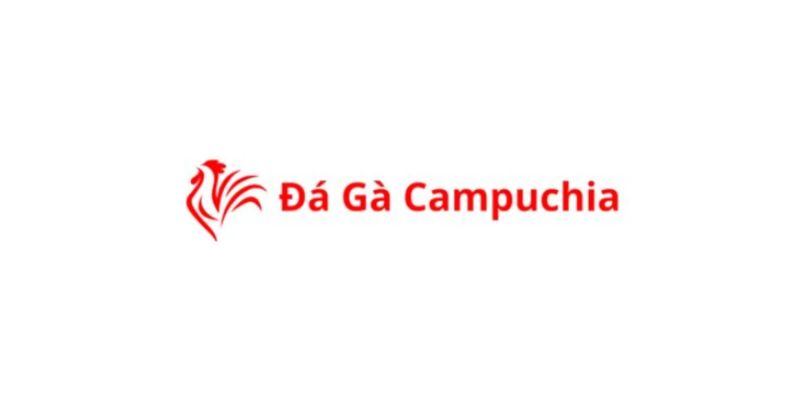 Tìm hiểu về đá gà Campuchia trực tiếp hôm nay