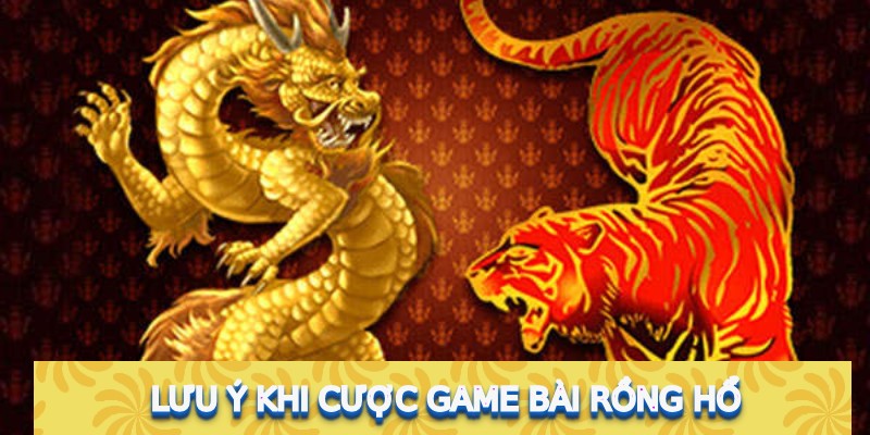 Lưu ý khi cược game bài Rồng Hổ