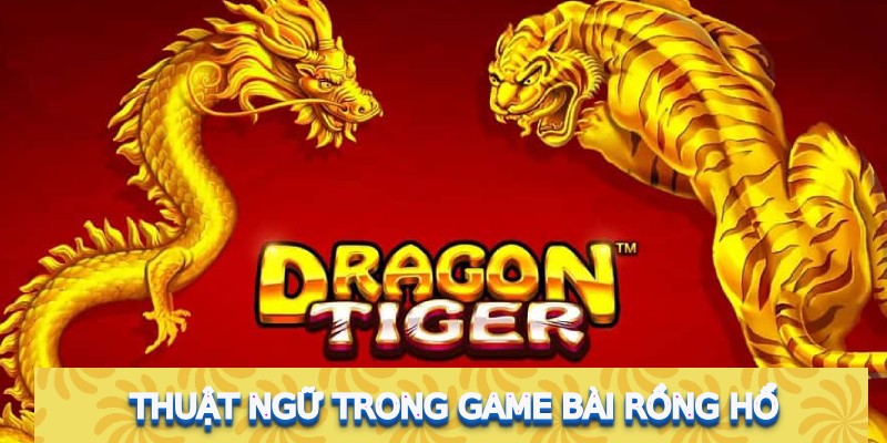 Thuật ngữ trong game bài Rồng Hổ