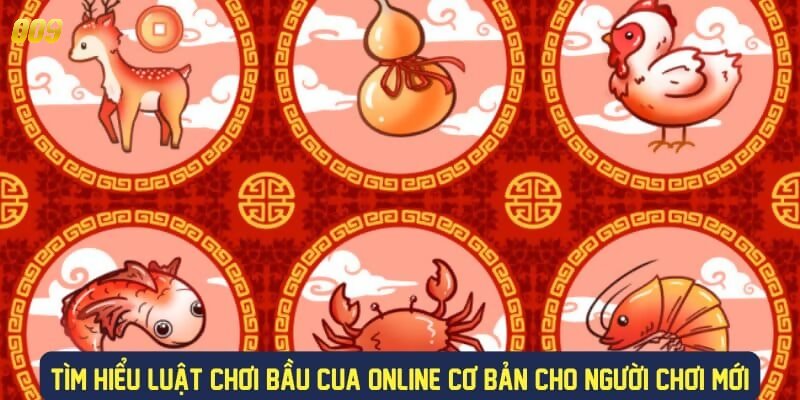 Hướng dẫn sơ lược cách chơi cua bầu dành cho anh em tân binh