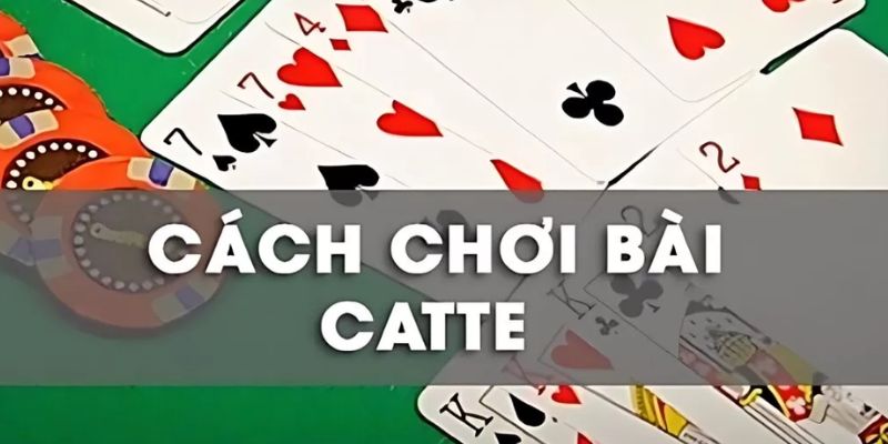 Khám phá về gam bài Catte là gì?