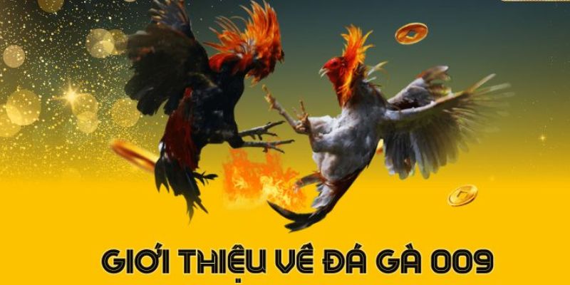 Sức hấp dẫn của game Đá Gà 009 