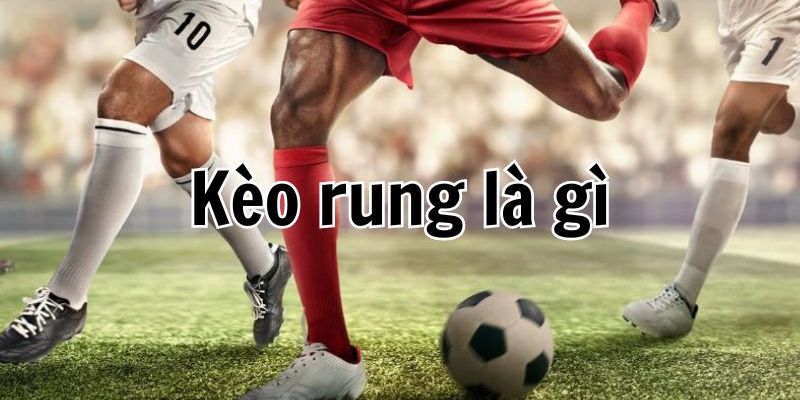 Thông tin khái quát về kèo rung bóng đá